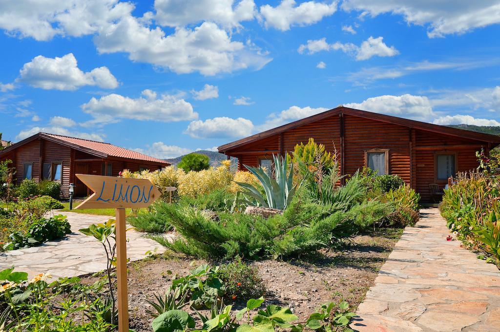 Hayitbuku Ahsapevleri Guest House Месудие Екстериор снимка