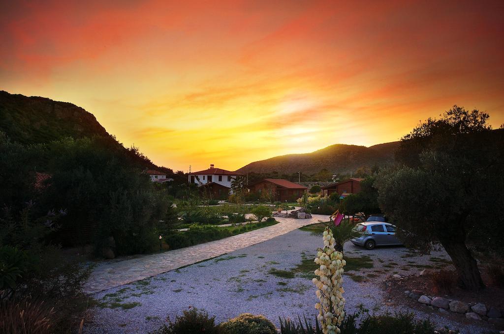 Hayitbuku Ahsapevleri Guest House Месудие Екстериор снимка