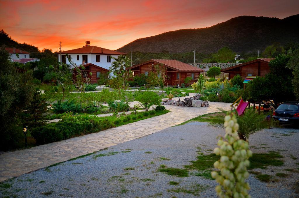 Hayitbuku Ahsapevleri Guest House Месудие Екстериор снимка