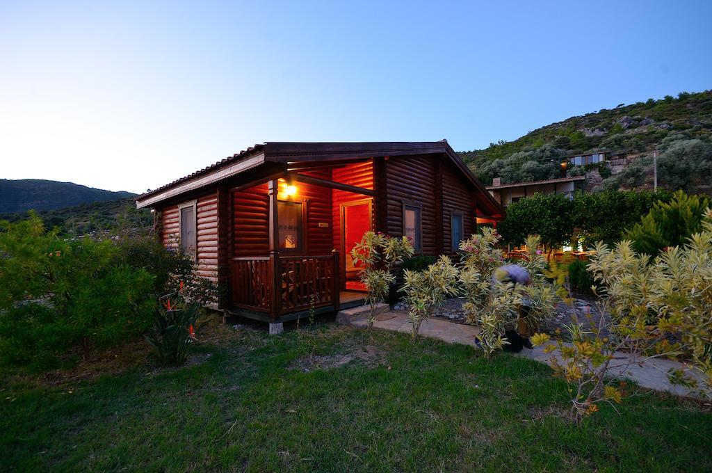 Hayitbuku Ahsapevleri Guest House Месудие Екстериор снимка