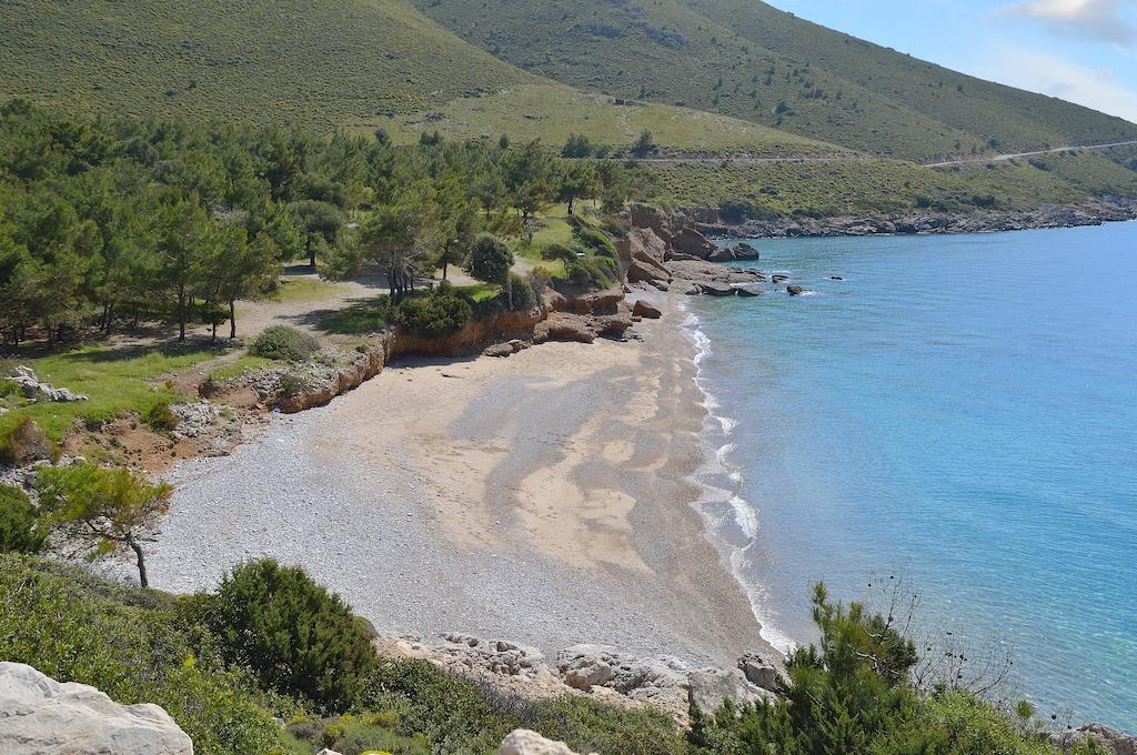 Hayitbuku Ahsapevleri Guest House Месудие Екстериор снимка