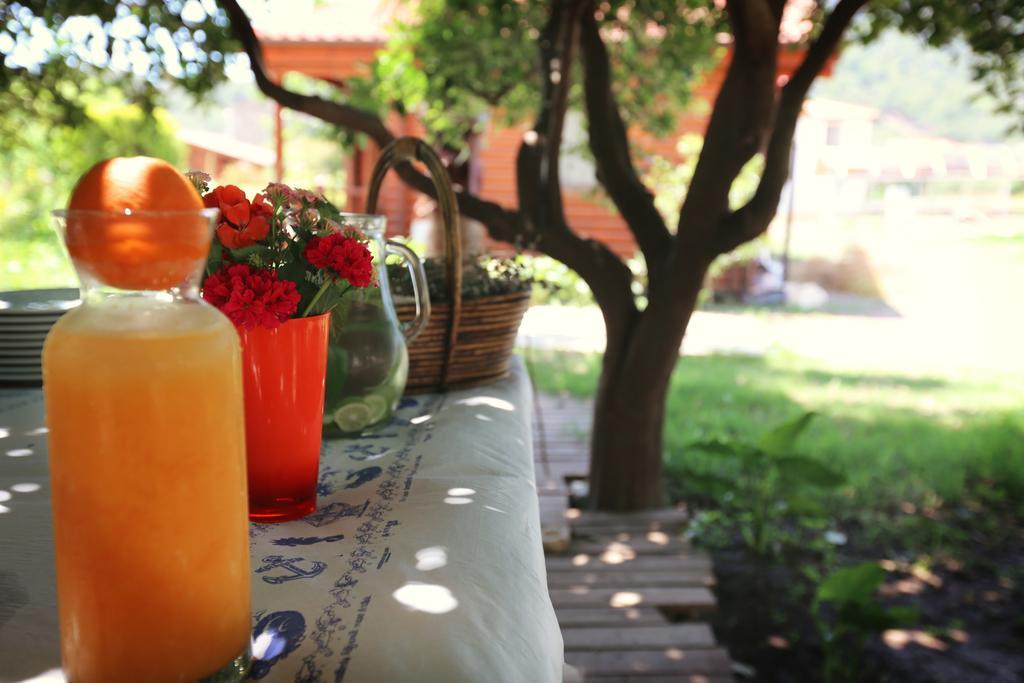 Hayitbuku Ahsapevleri Guest House Месудие Екстериор снимка