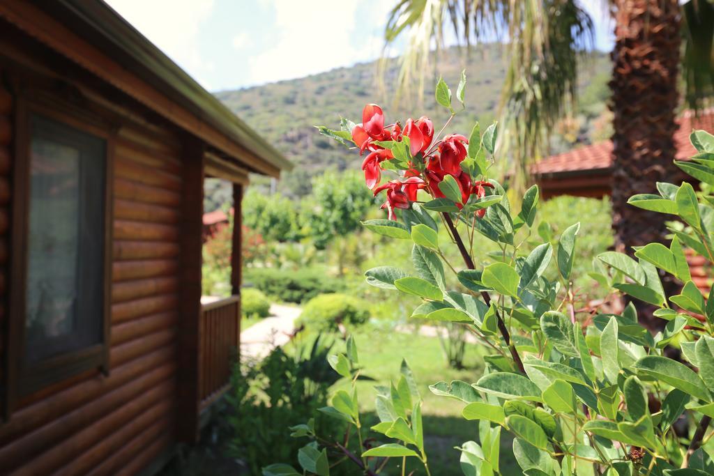 Hayitbuku Ahsapevleri Guest House Месудие Екстериор снимка