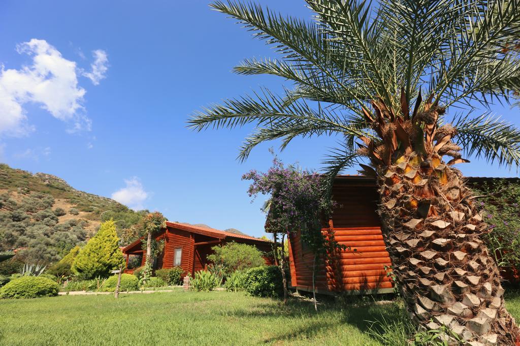 Hayitbuku Ahsapevleri Guest House Месудие Екстериор снимка
