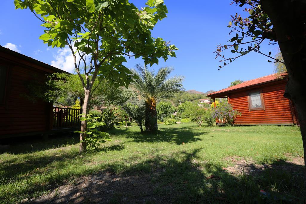 Hayitbuku Ahsapevleri Guest House Месудие Екстериор снимка