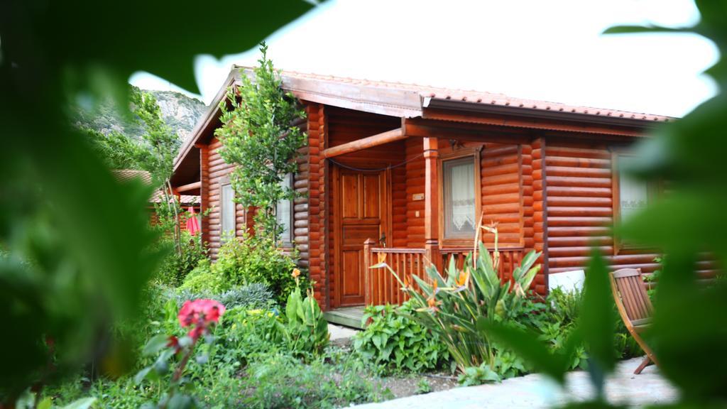 Hayitbuku Ahsapevleri Guest House Месудие Екстериор снимка