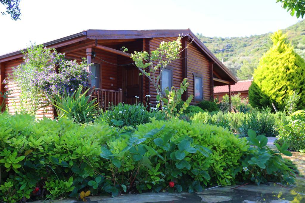 Hayitbuku Ahsapevleri Guest House Месудие Екстериор снимка