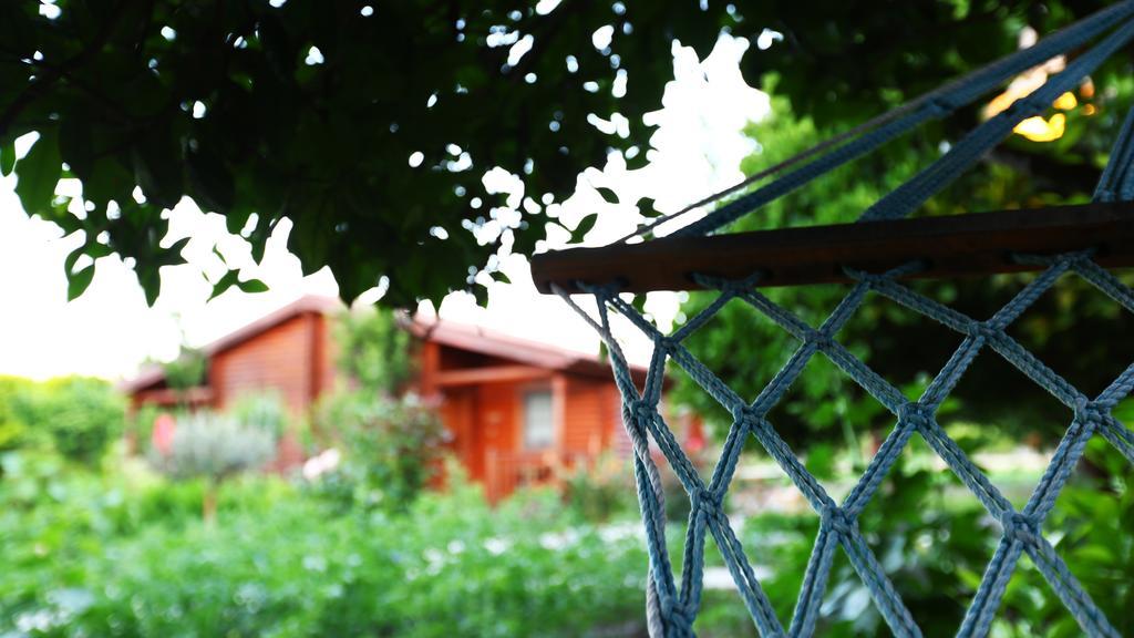 Hayitbuku Ahsapevleri Guest House Месудие Екстериор снимка