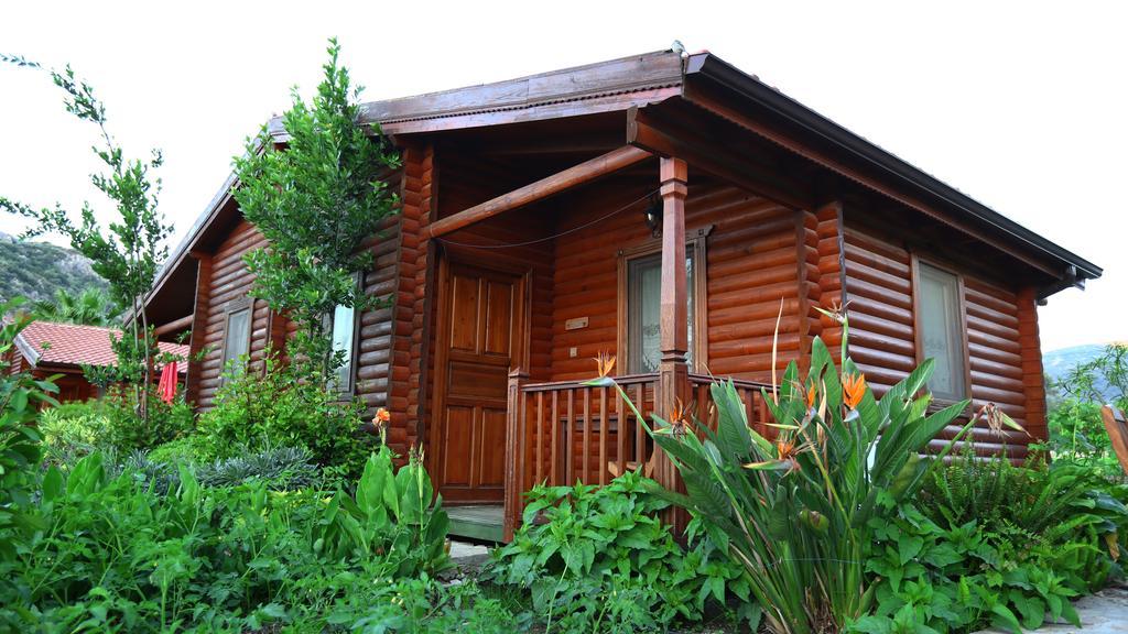 Hayitbuku Ahsapevleri Guest House Месудие Екстериор снимка