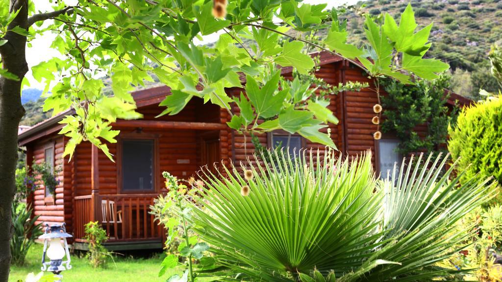 Hayitbuku Ahsapevleri Guest House Месудие Екстериор снимка